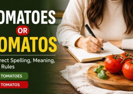 Many English learners and writers often wonder whether “tomatoes” or “tomatos” is the correct spelling.