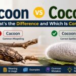 You are not alone. Many people search for "Cacoon vs Cocoon", "Cacoon or Cocoon," or ask, "Is cacoon a word?"