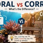 Have you ever wondered whether you should write coral vs corral?