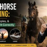 A Dark Horse Meaning is often connected with unexpected success, hidden talent, and an unlikely winner who performs better than people imagined.