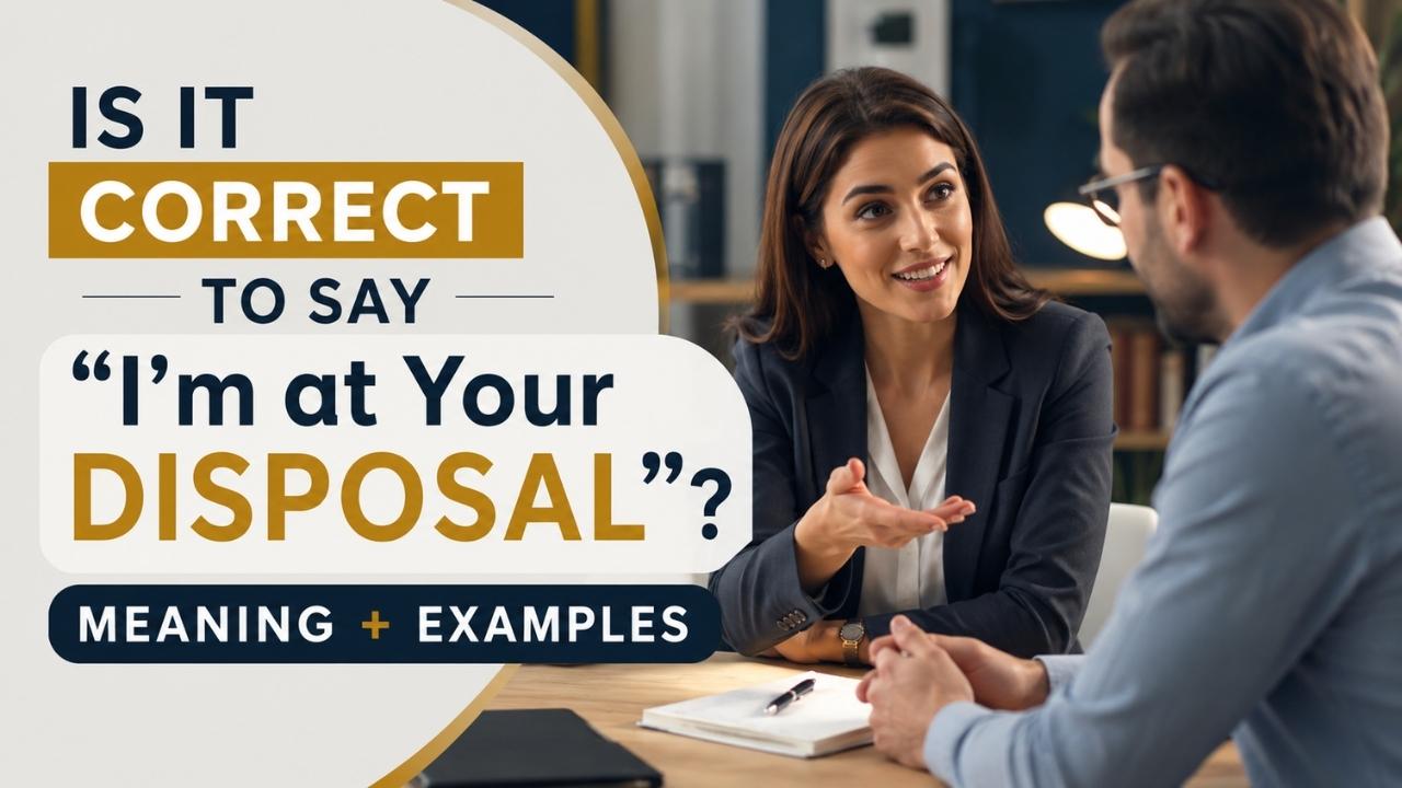 Have you ever wondered whether it's correct to say "I'm at your disposal" in an email, at work, or during a formal conversation?